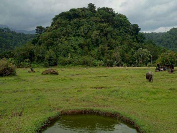Keindahan Padang Savana di Kaki Gunung Rajabasa, Terhampar Luas Memukau Wisatawan Keindahan Padang Savana di Kaki Gunung Rajabasa, Terhampar Luas Memukau Wisatawan