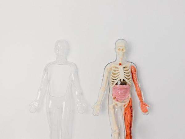 Lebih dari Separuh Tubuh Kita Itu Sebenarnya Dihuni Makhluk Ini, Hantu?