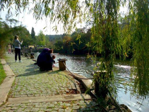 Dekat Pusat Kota, Hutan Ini Punya Danau dan Jalur Trekking yang Kece Buat Recharge Energi
