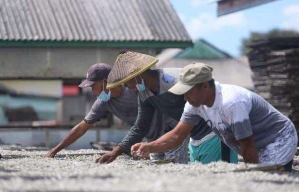 Desa Waburense, Destinasi Wisata Pengelolaan Ikan Teri di Buton Tengah