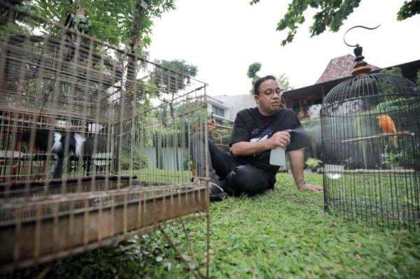 Ini Kegiatan Anies Di Hari Pertamanya Sebagai Warga Biasa Mulai Dari Ke Sekolah Anak Sampai Mandiin Burung