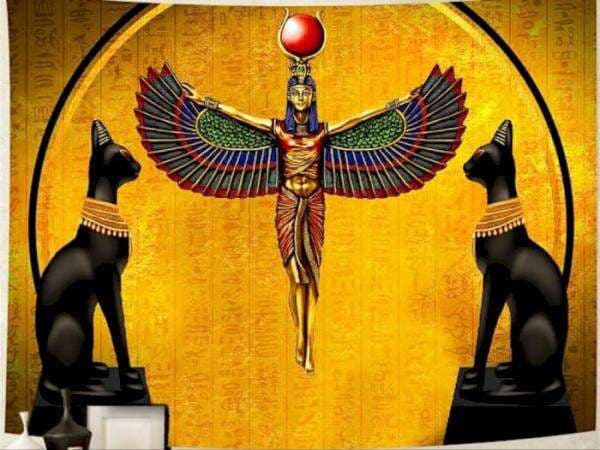 Bukan Hewan Sembarangan, Kucing Dianggap Suci &amp; Jadi Peliharaan Firaun di Zaman Mesir Kuno