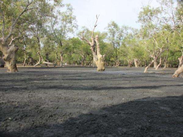 Dibalik Keunikan Pantai Pasir Hitam Ini Ada "Sosok" Wanita Cantik Bermahkota, Siapa Dia?