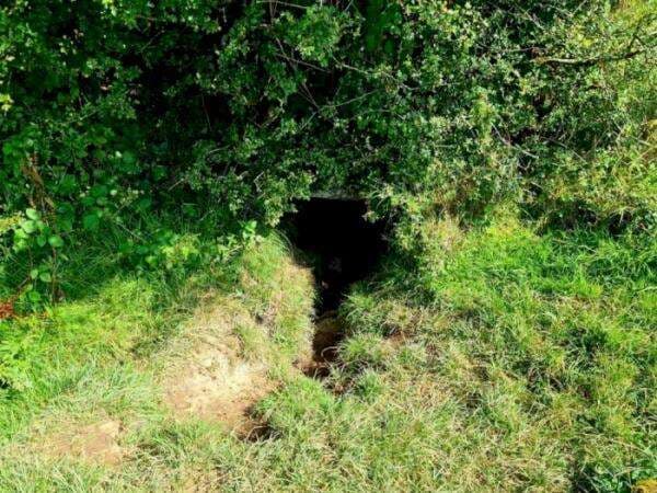 Disebut Sebagai 'Gerbang ke Neraka', Gua Kuno di Irlandia Ini Selalu Ramai Pengunjung