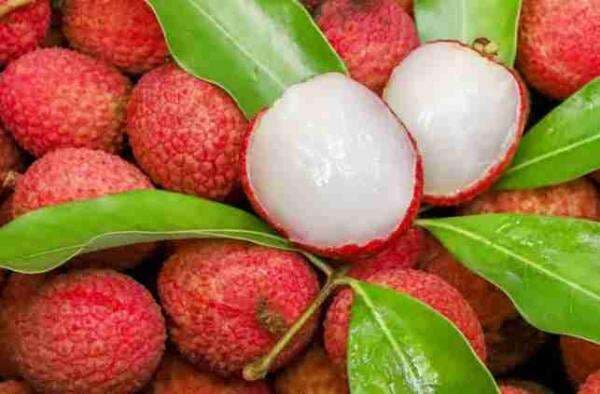 Manis Legit, Ini 9 Manfaat Buah Leci bagi Kesehatan yang Tak Diduga Sebelumnya!