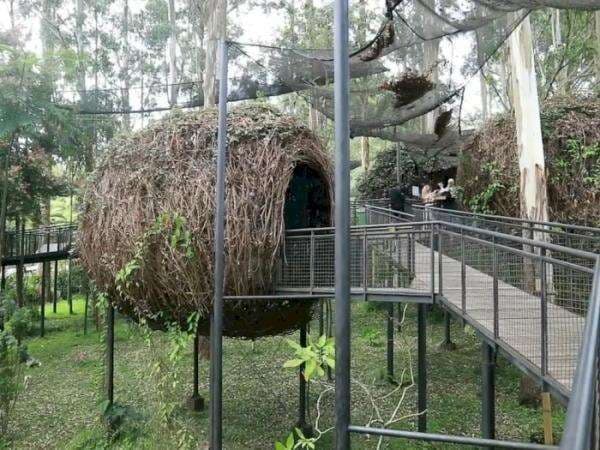 Unik Banget! Mencoba Kuliner di Dalam Sarang Burung Raksasa, Tertarik Berkunjung?