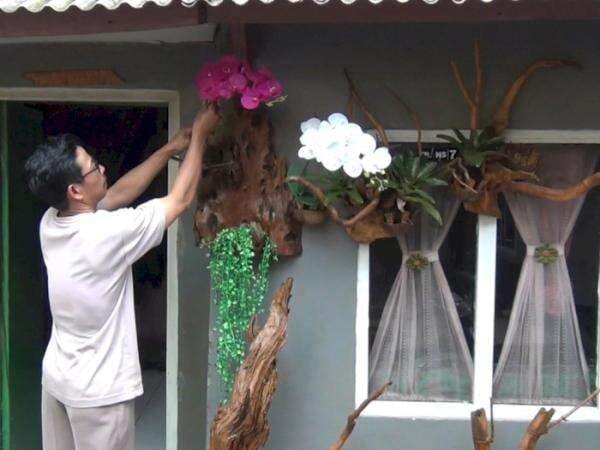 Wow! Pria Ini Ubah Kayu Gigitan Rayap Jadi Benda Unik, Ide Hadiah untuk Pecinta Tanaman