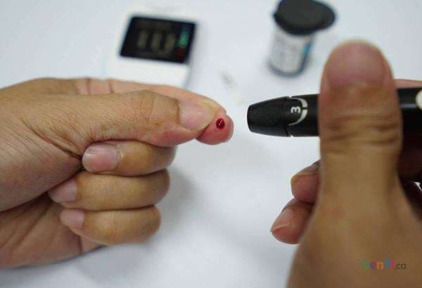 Manfaat Akar Pinang Ternyata Dahsyat, Bikin Diabetes Menyerah