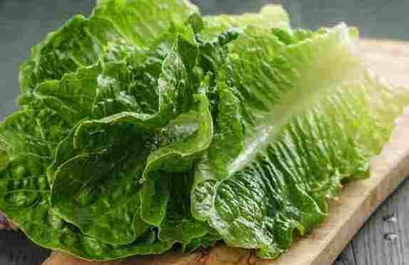 Sering Jadi Lalapan Bunda Corla, Ini 12 Manfaat Kesehatan Konsumsi Selada Romaine