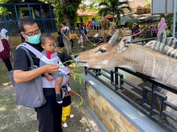 Cuma Bayar Rp15 Ribu, Madiun Umbul Square Tawarkan Wisata ala Taman Safari Versi Mini