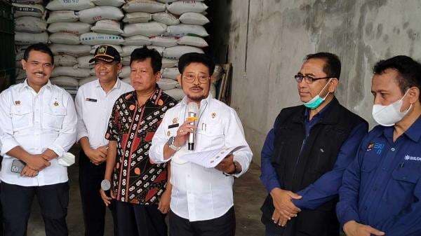 Produksi Padi 2022 Capai 55,6 Juta GKG