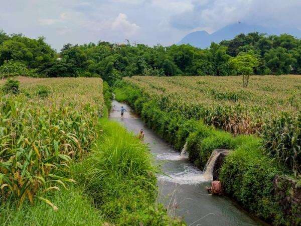 Seru Abis! Mojokerto Punya 'Prosotan' Panjangnya 200 Meter, Mandi di Sini Berasa Nostalgia