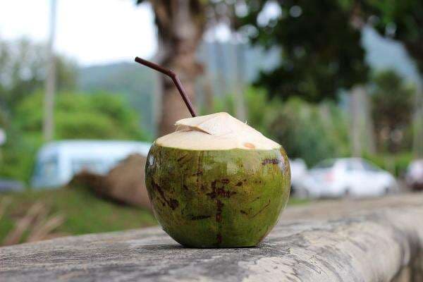 Khasiat Air Kelapa Muda Dahsyat Banget, Bikin Kolesterol Jahat Keok