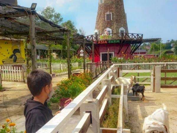 Game Bertema Peternakan 'Hay Day' Ada di Dunia Nyata, Bergaya Eropa dan Banyak Hewan Gemoy