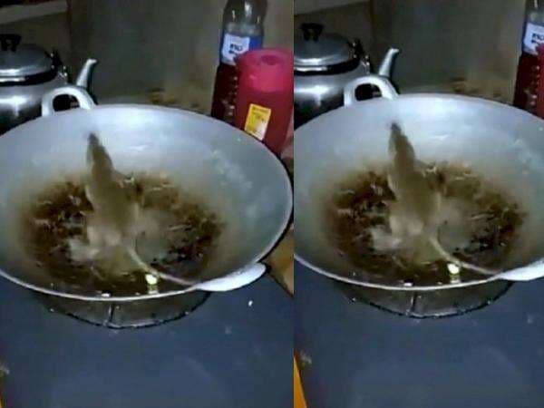 Pria Ini Sengaja 'Goreng' Tikus yang Kejebak di Wajan, Kocak atau Kasihan Pria Ini Sengaja 'Goreng' Tikus yang Kejebak di Wajan, Kocak atau Kasihan