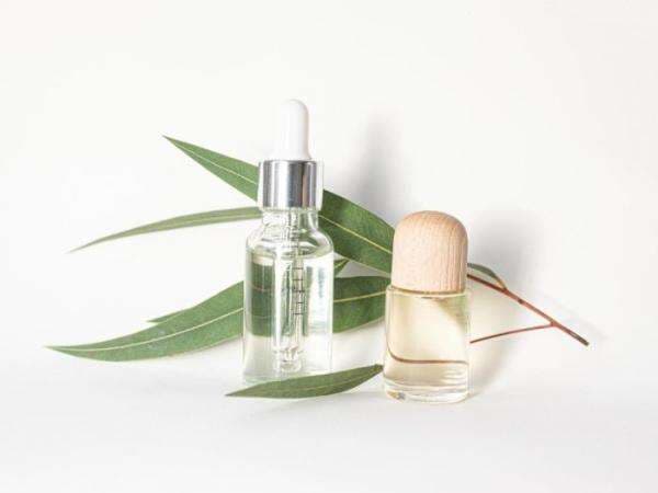 Wajib Tahu, Inilah Manfaat Tea Tree Oil untuk Rambut