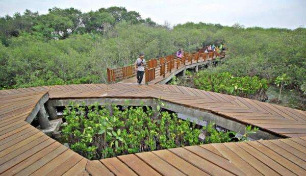 Perkuat Dukungan Internasional untuk World Mangrove Center, KLHK Gelar Talkshow di COP27 UNFCCC Perkuat Dukungan Internasional untuk World Mangrove Center, KLHK Gelar Talkshow di COP27 UNFCCC