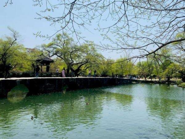 Fakta Unik Gwanghalluwon, Taman Terbaik di Korea Selatan Kerap Jadi Lokasi Syuting