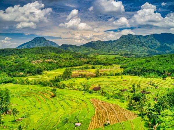 10 Contoh Puisi Pendek Tentang Keindahan Alam, 2 dan 4 Bait!