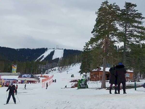 Rasakan Keseruan Bermain Salju di Gunung Zlatibor, Serbia Barat: Viewnya Pohon Pinus