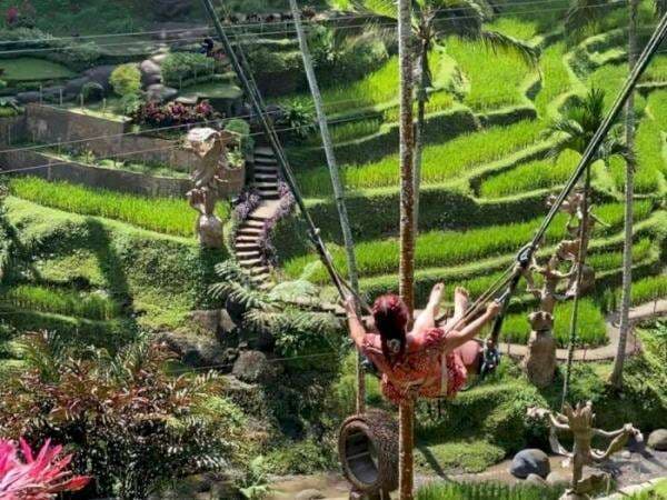 Uji Nyali di Alas Harum Bali: Naik Ayunan Ekstrem dengan Ketinggian 25 Meter, Berani Coba?