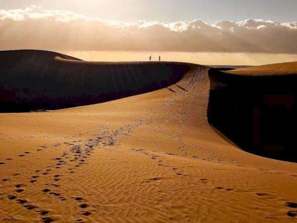 Gawat! Di Balik Keindahan Gurun Pasir di Spanyol, Ternyata Penuh Kondom Bekas, Kok Bisa?