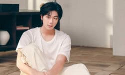 Download Lagu MP3 RM BTS – Wild Flower, Lengkap Lirik dan Terjemahan Indonesia