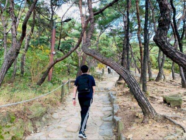 Achasan Mountain Pernah Jadi Tempat Syuting BTS, Spot Terbaik Rayakan Tahun Baru