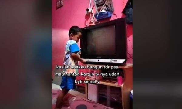 Bangun Tidur Anak Ingin Nonton Kartun, TV Hanya Muncul Semut Bangun Tidur Anak Ingin Nonton Kartun, TV Hanya Muncul Semut