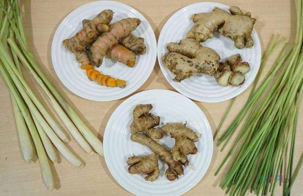 Herbal dr. Zaidul Akbar, Manfaat Ramuan Jahe, Serai, Kunyit, Lengkuas Dahsyat