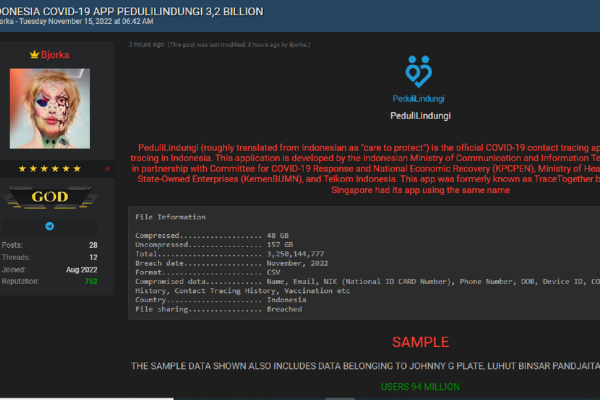 Kata Kemenkes Soal Bjorka Jual 3,2 Miliar Data PeduliLindungi