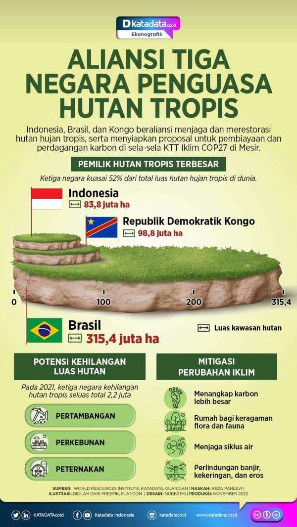 Aliansi Tiga Negara Penguasa Hutan Tropis