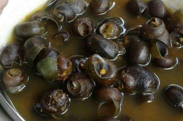 Pernah Makan Tutut? Ternyata 5 Manfaatnya Dahsyat untuk Tubuh