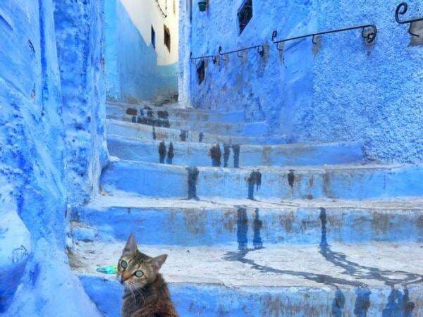 Chefchaouen: Kota Biru yang Instagenik di Maroko, Bikin Mata Fresh!