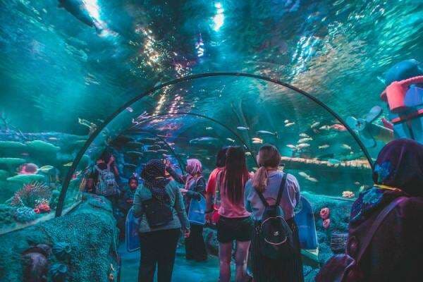 Akuarium Sea Life di Jerman Pecah, 1 Juta Liter Air Tumpah