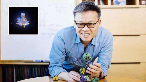 Ilmuwan Temukan "Lem Seluler" untuk Regenerasi Jaringan