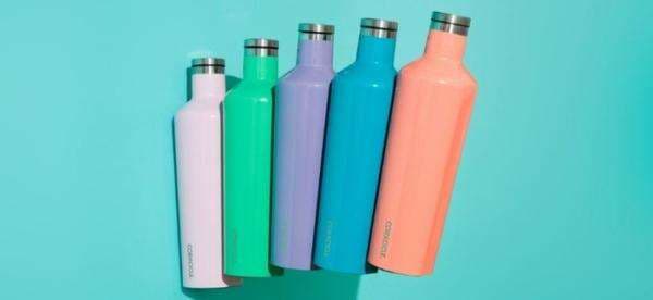 Apa Istimewanya Botol Minum Corkcicle, Botol Minum 1 Jutaan