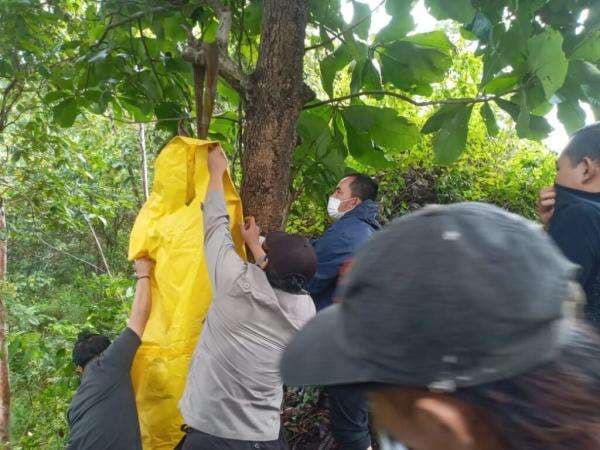 Pria Misterius Ditemukan Tergantung di Pohon Sempur; Bawa Banyak Obat-obatan