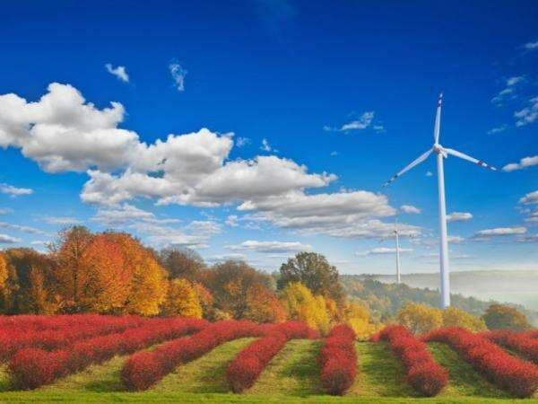 Apa Itu Keberlanjutan (Sustainability) dan Mengapa Penting Untuk Kita Tahu?