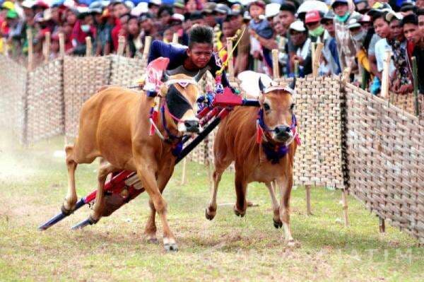 Inilah 7 Tradisi Adat Jawa Yang Masih Ada Sampai Sekarang!