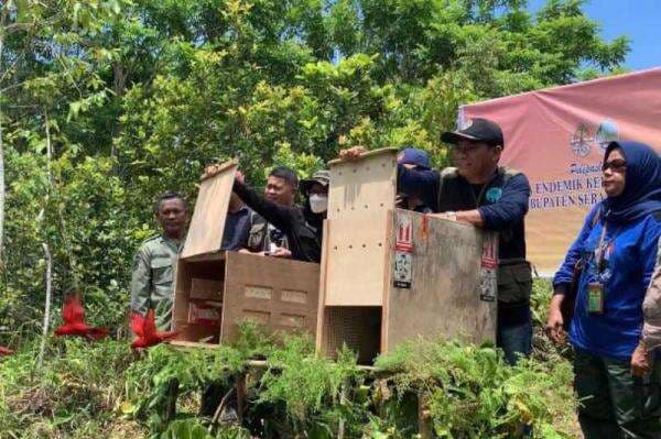 Perkuat Pelestarian Hewan, BKSDA Maluku Lepasliarkan 10 Ekor Satwa Liar Endemik