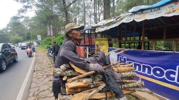 Pencari Kayu Bakar Jago Arab-Inggris, Dedi Mulyadi Berdecak Kagum