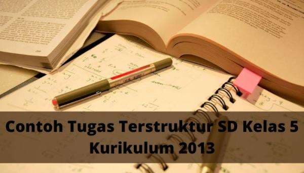Contoh Tugas Terstruktur SD Kelas 5 Kurikulum 2013