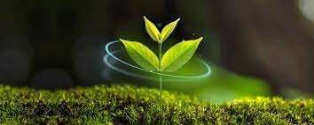 Peran Penting Fotosintesis untuk Kehidupan di Bumi Peran Penting Fotosintesis untuk Kehidupan di Bumi