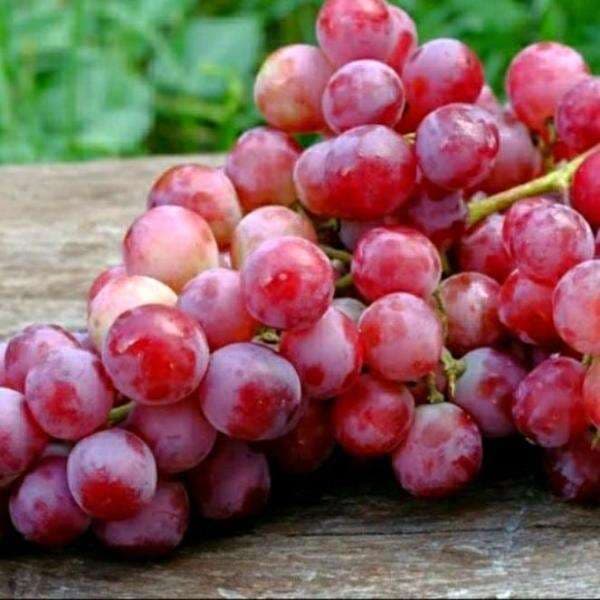 Catat, Tips dan Makanan yang Bantu Pria Perkasa dan Tahan Lama Saat Berhubungan Intim