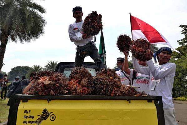 Kuota DMO Dipangkas Kemendag, Ekspor Minyak Goreng Berpeluang Naik?