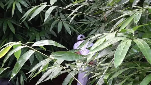 Darel Gaisan Rafasa Hilang Misterius saat Bermain di Halaman Rumah, Dedi Mulyadi Sampai Merinding Mencari Jejaknya