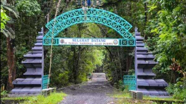 Sosok Gayatri Wanita Cantik Misterius Penunggu Alas Purwo, Terkenal di Zaman Kerajaan Majapahit