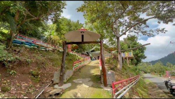 Sinjai Punya Cerita: Rumah Jamur yang Kini Jadi Ikon Desa