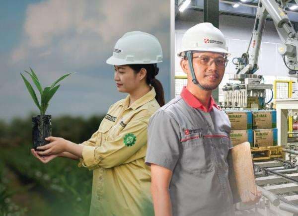 Buyback Merger Sinar Mas Agro (SMAR) Berakhir Tanpa Permintaan